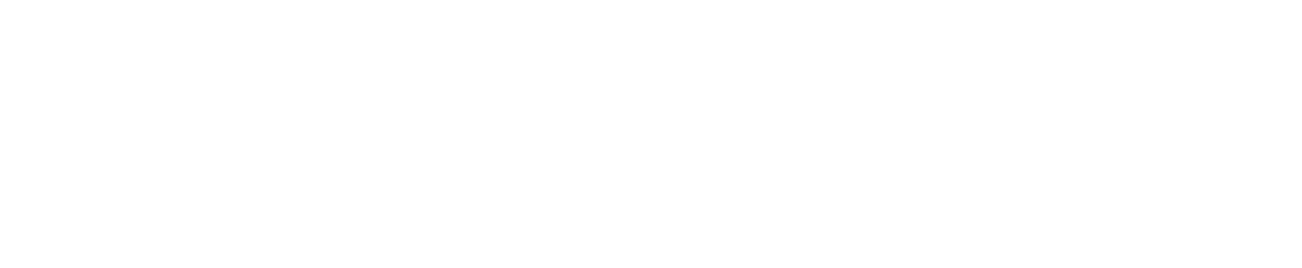 Tallahassee Senior Center Foundation